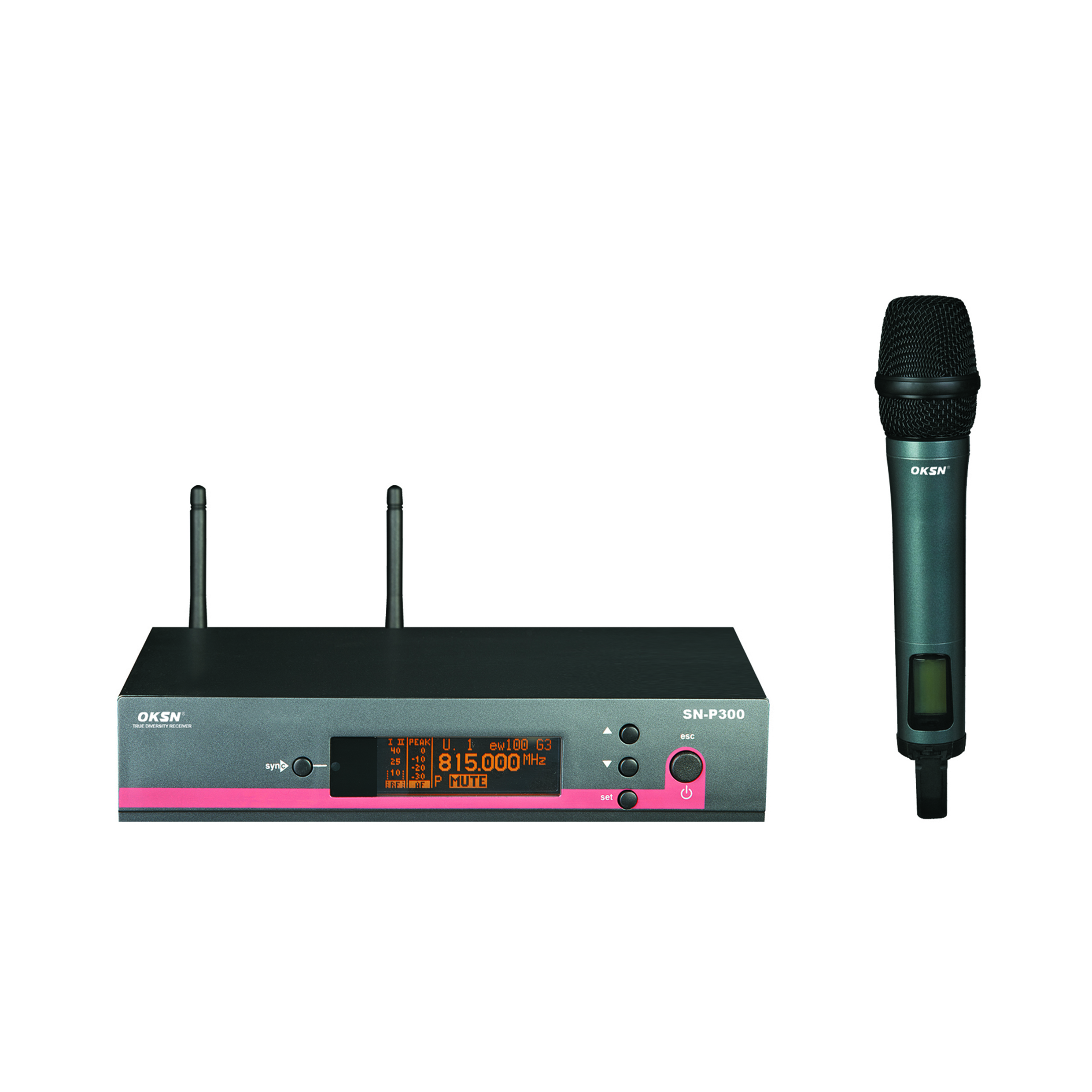 Micrófono de karaoke inalámbrico SN-P300 de un solo micrófono